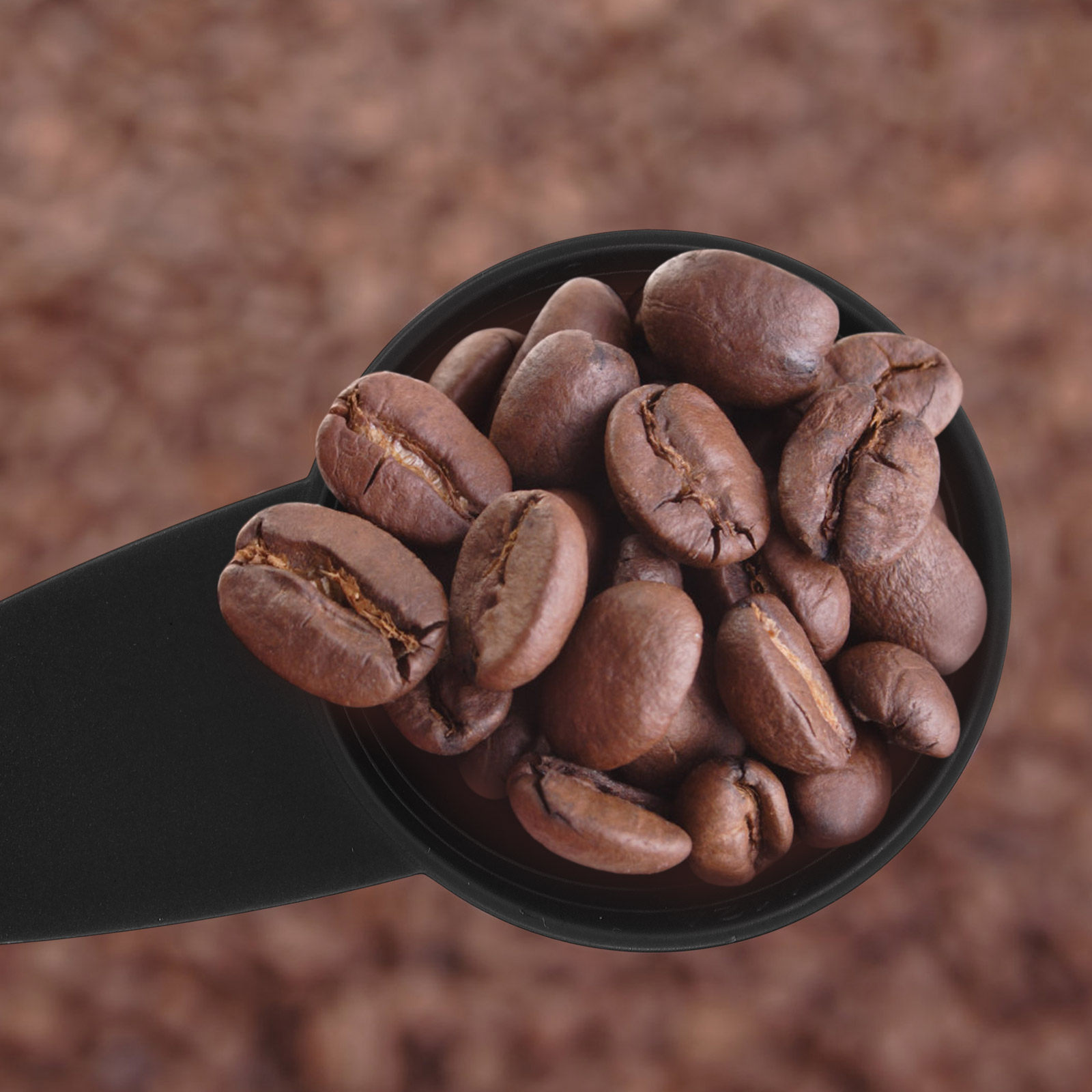 5Pcs Measure Spoon Long Handle - огляд і ціна Coffee Tea Sugar